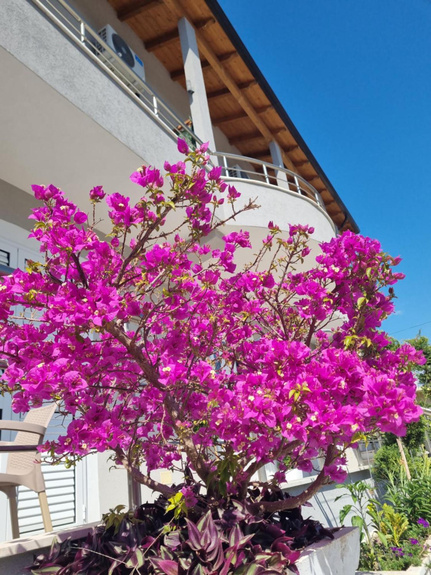 Vila Soleil Влёра Экстерьер фото