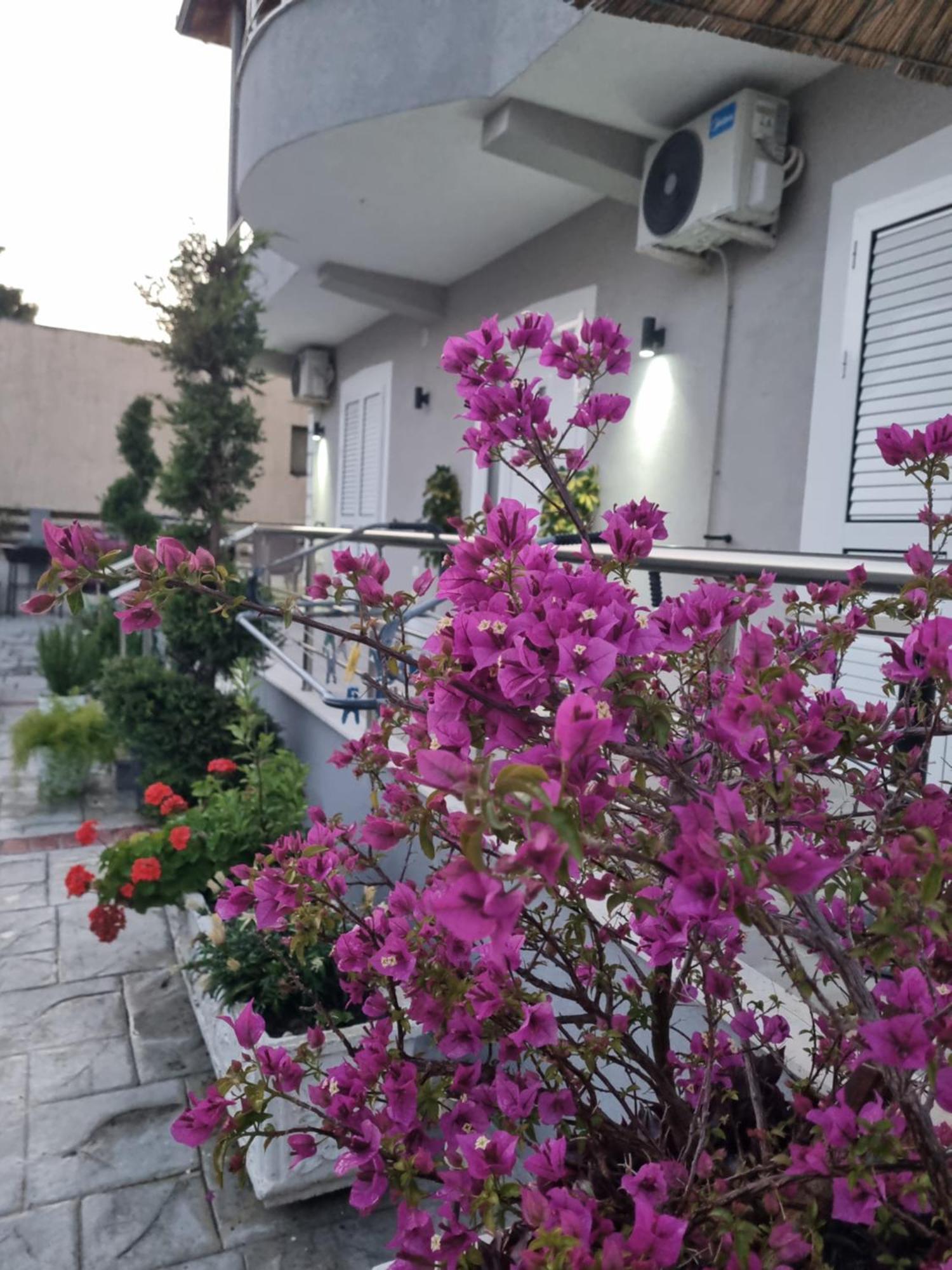 Vila Soleil Влёра Экстерьер фото